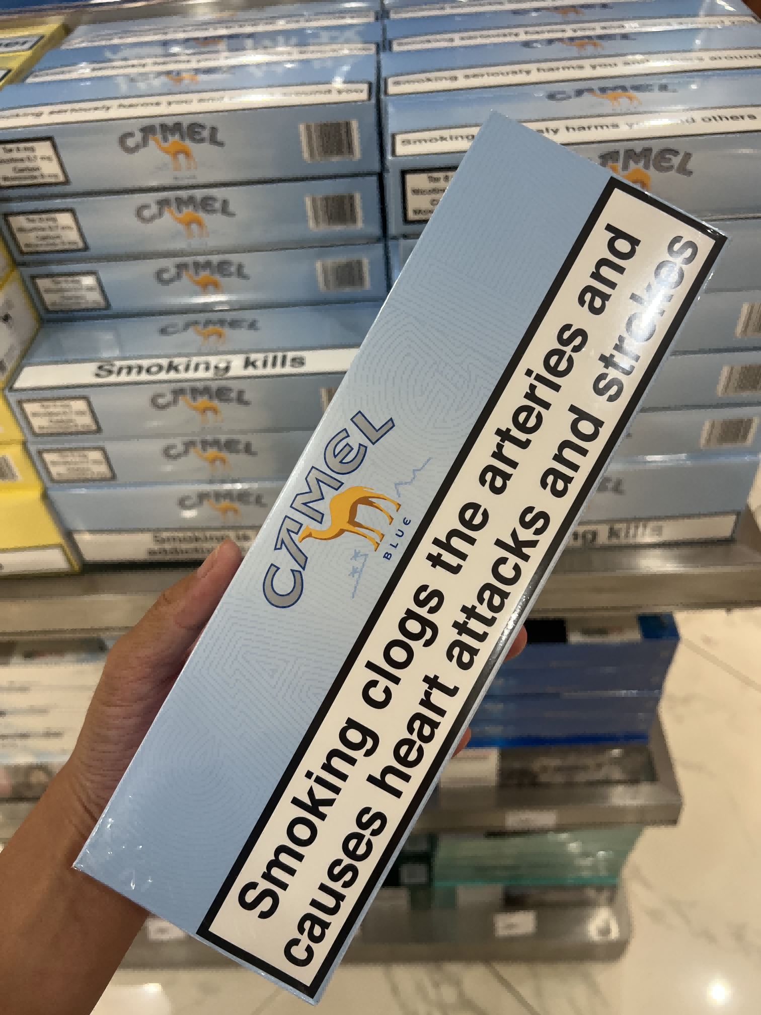 港版蓝骆驼
